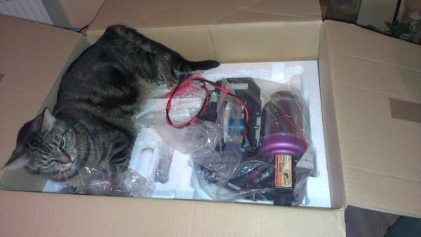 Bild Baubericht PHT3 und Katze